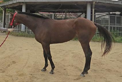 ���ϰ� ����