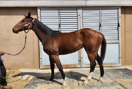 ����Ʈ�׼� ����