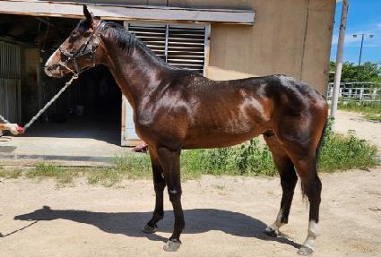 ���ũŷ�� ����