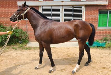 ��Ʈ���� ����