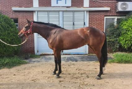 �����̱� ����