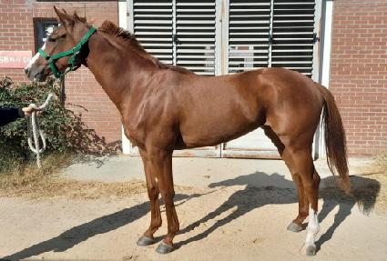 ���̵���Ʈ ����