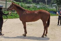 �������Ϸ��� (MAGIC SILENCE) ����