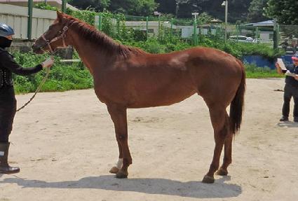 �������Ϸ��� ����