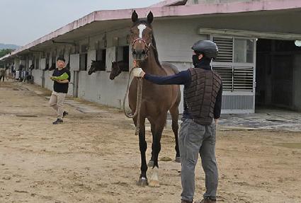 ��Ƽ� ����