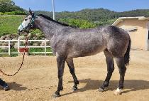 ����ƾ��� (MOUNTAIN DADDY) ����