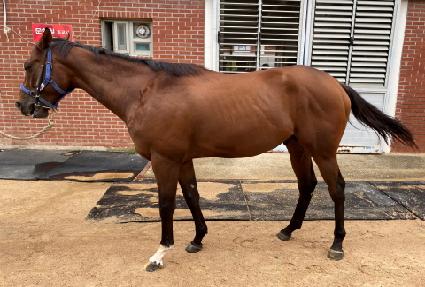 ���͵巡�� ����