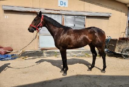 ���ĵ�� ����