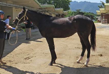 �ƽ���� ����