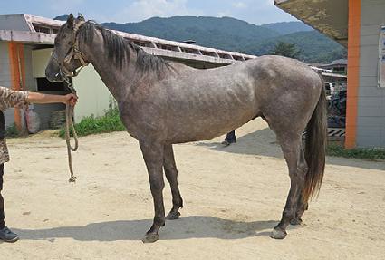 ���� ����