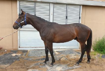 ���ֿ��̽� ����