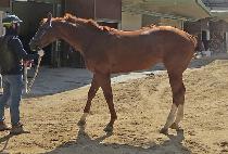 �������Ｑ (YUSUBUJAENGSEON) ����