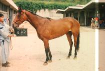 Ȳ���� (HWANG JEEN EE) ����