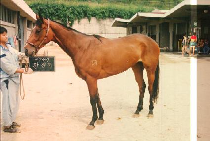 Ȳ���� ����