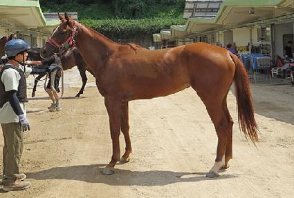 ��ֹ�½ ����