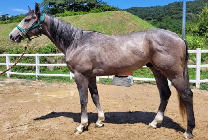 ���Ҷ� ����