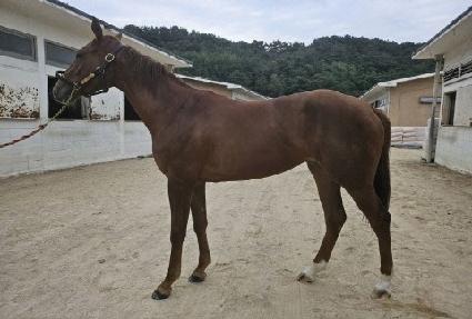 ����Ǯ���� ����