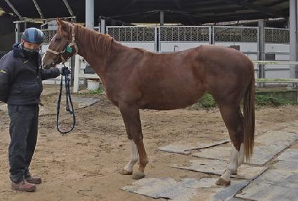 ����Ǯ������ ����