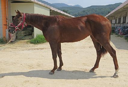 ����Ǯ���Ǹ� ����