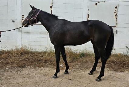 ����Ǯ�� ����