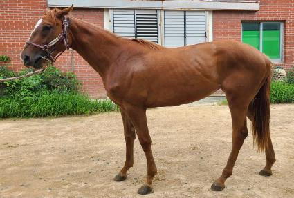 ����Ǯ���� ����