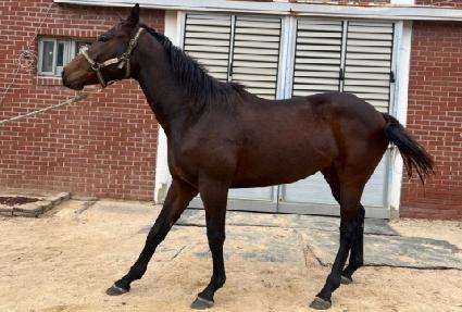 ���̸ս�Ÿ ����