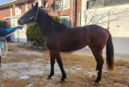 �ٸ��� ����