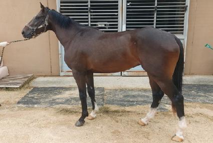 Ȳ�ݹ��� ����