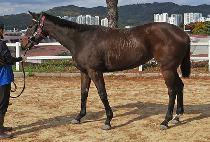 ������������ (GOODTOBEWITHYOU) ����