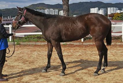 ������������ ����