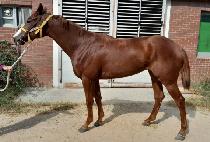 ����̺����� (DRIVING FORCE) ����