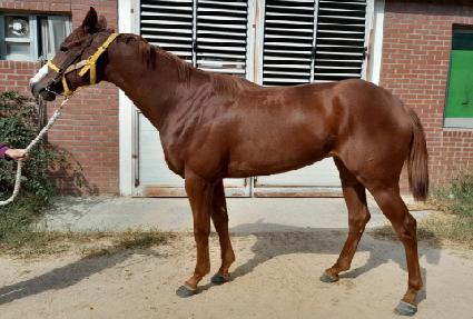 ����̺����� ����