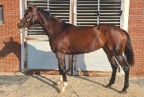 ���ʺ������� (WANNABE WITH YOU) ����