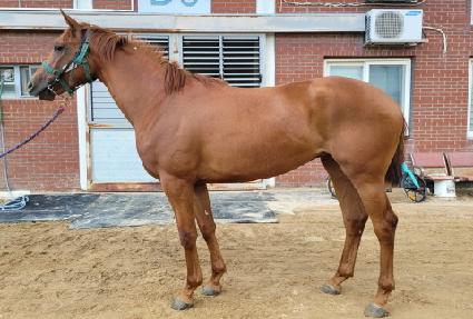 Ʈ��������Ŀ ����