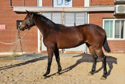 �ǽ��������� ����