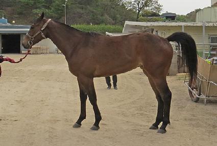 �������� ����