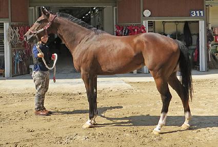 ��������Ʈ ����