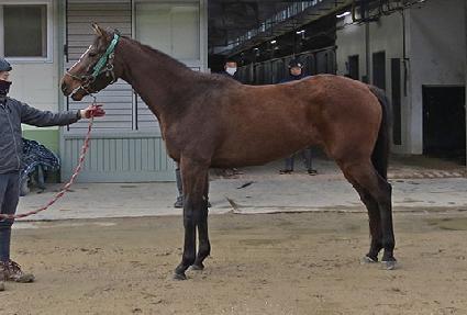 �޸��ٱ� ����