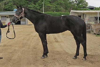 ���ΰ�Ÿ ����