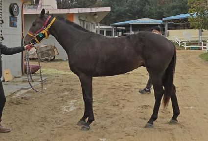 õ��� ����