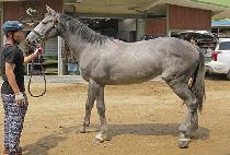 ����ģ�� (JOEUN CHINGU) ����