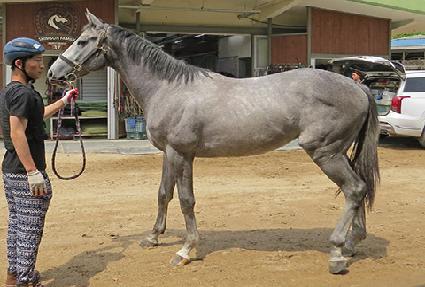 ����ģ�� ����