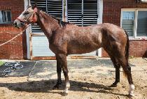 Ʈ���ǿ��� (TROPHY WARE) ����