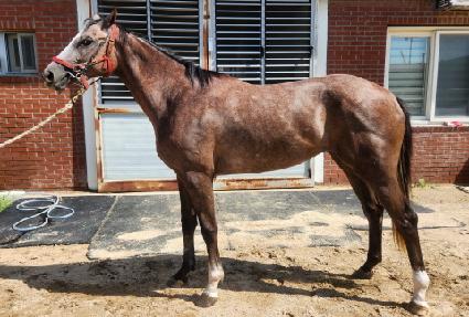 Ʈ���ǿ��� ����