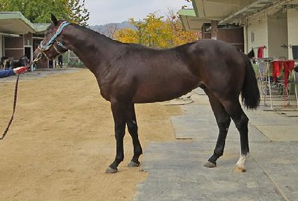 ���϶�ý� ����