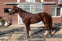 ��������� (YEOSU GUARDIAN) ����