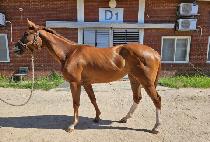 NAMHAE YEOGEOL picture