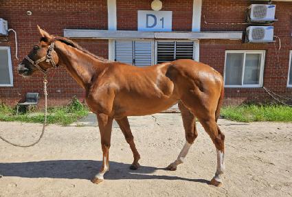 ���ؿ��� ����