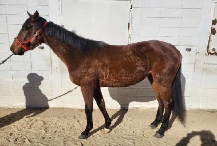 ���͵巡�� ����