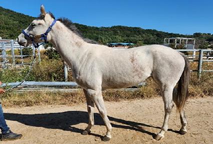 ��Ƽ� ����